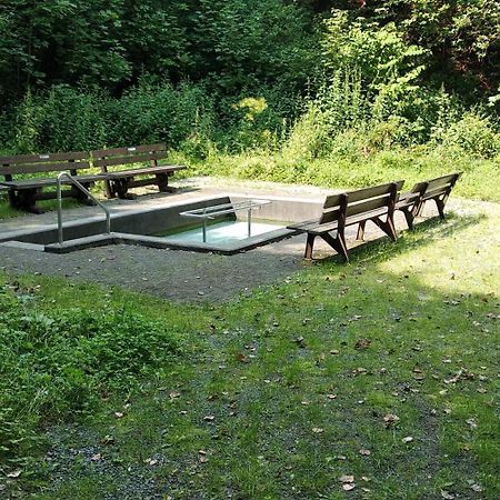 Bergzeit In Langewiese - Appartment Landelijke Star Вінтерберг Екстер'єр фото